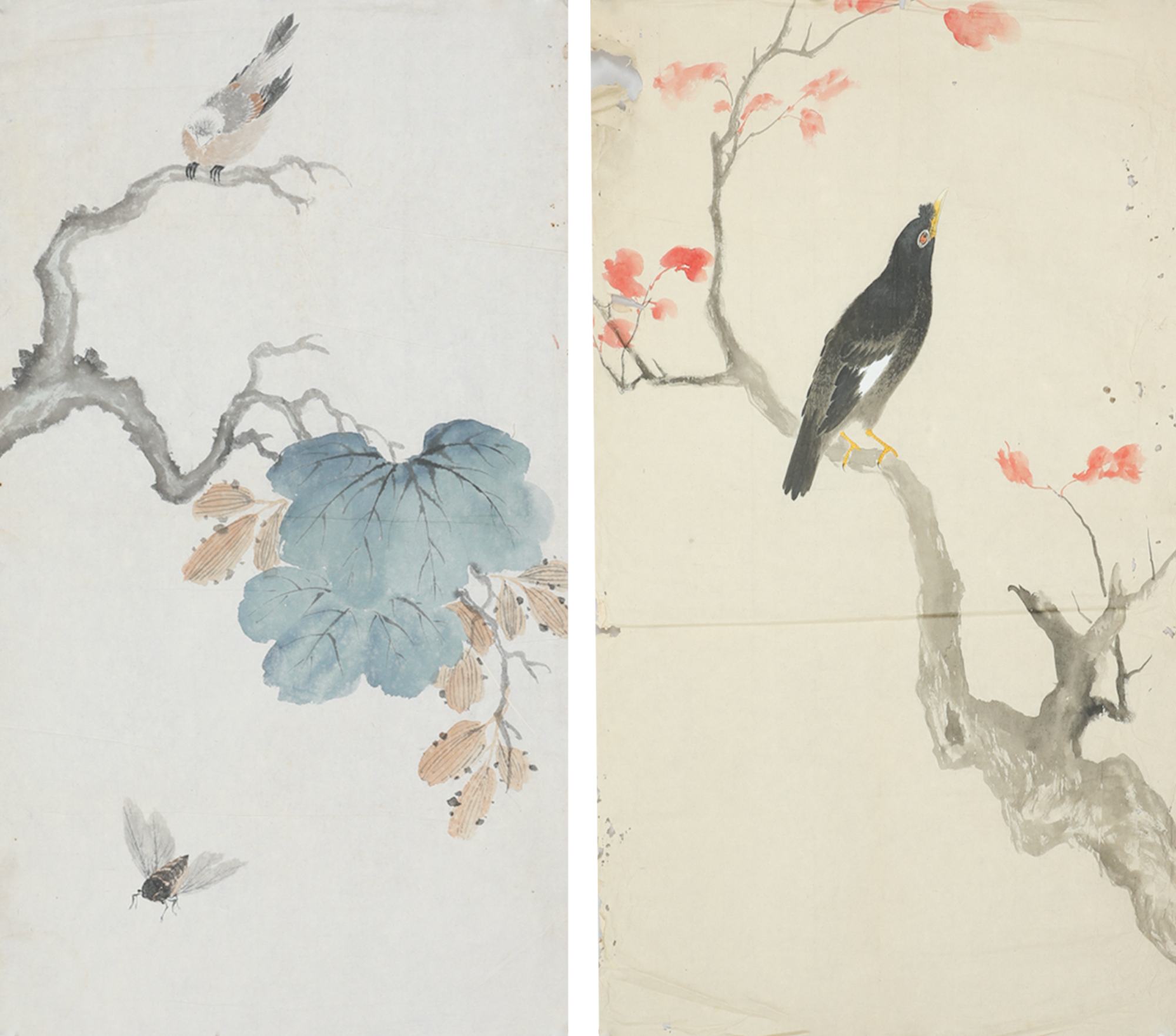 江寒汀(1904～1963)藏 八哥蝉禽画稿二种 - 艺是 - 西泠拍卖唯一指定
